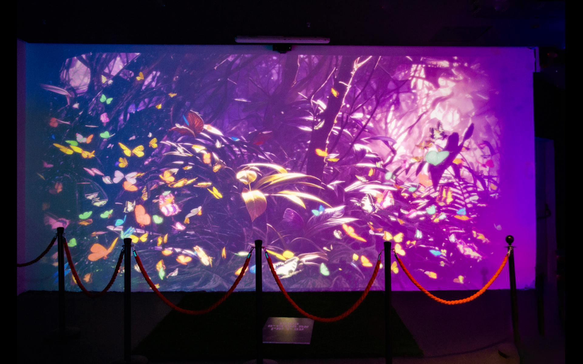Jungle projection with colorful butterflies on the wall of the Bugs World installation